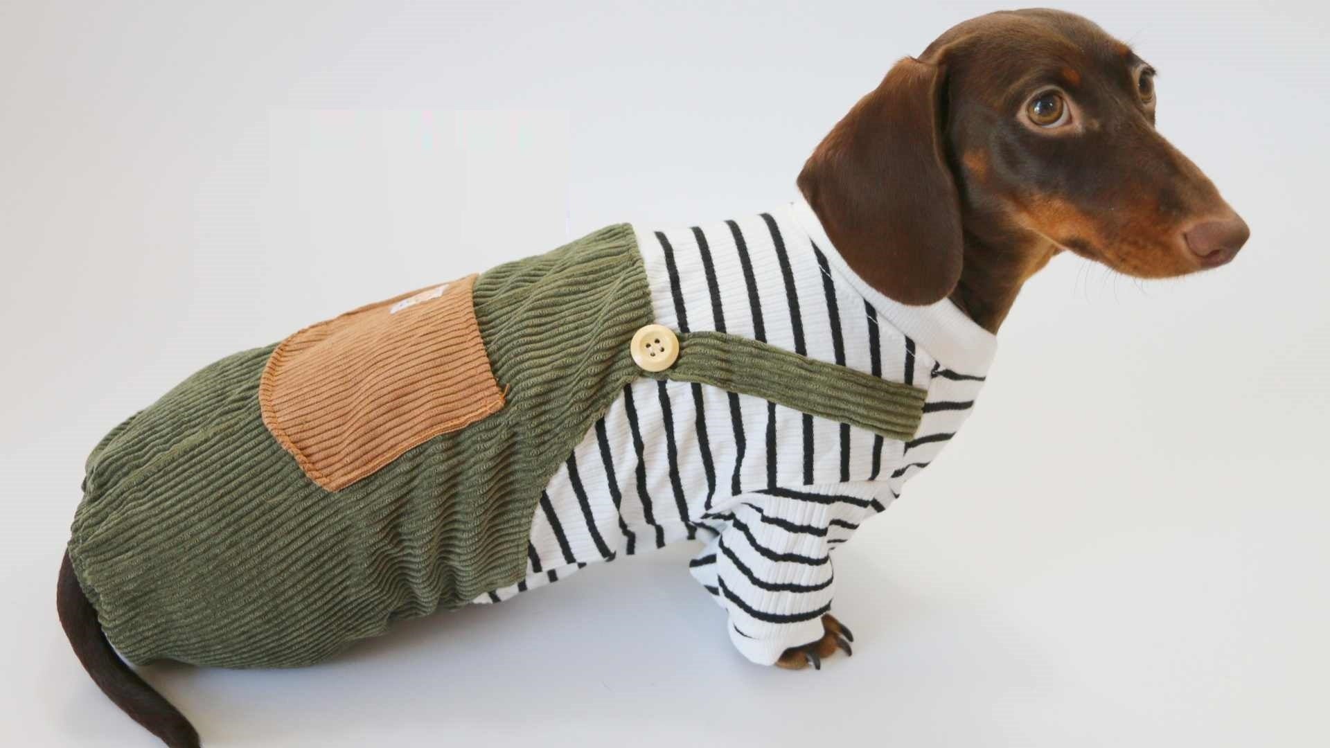 Fake Two Thin Corduroy Four-foot Pants Teddy Sausage Schnauzer York Summer Small Pet Clothes
