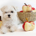 Series Tibetan Food Original Single Cute Dog Toy Pet Voice