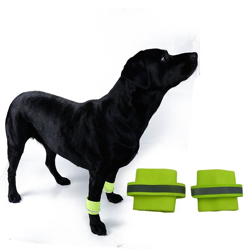 Puppy fluorescent foot cover