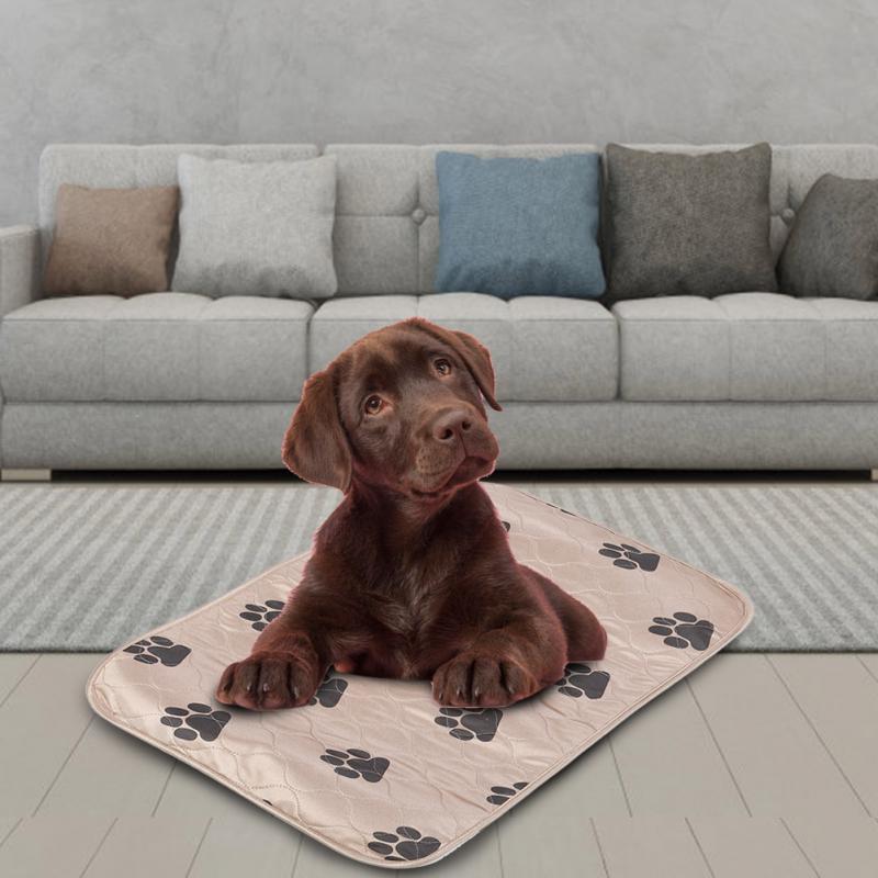Pet Repeatable Water Wash Pad