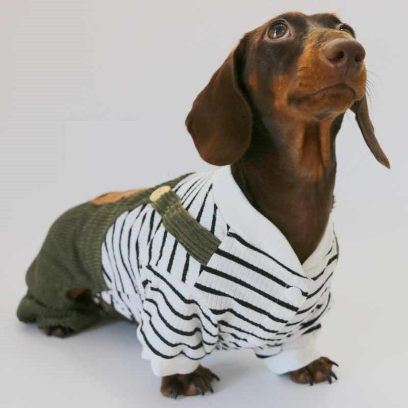Fake Two Thin Corduroy Four-foot Pants Teddy Sausage Schnauzer York Summer Small Pet Clothes